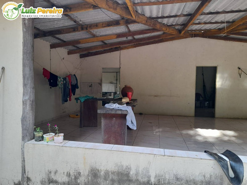 Imagem 14 de 14 de Fazenda Á Venda Em Barra Do Ouro - T0 - 1.621,4 Hectares (dupla Aptidão) - 2129