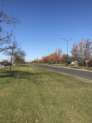 Imagen 5 de 5 de Terreno - Pilar Del Este