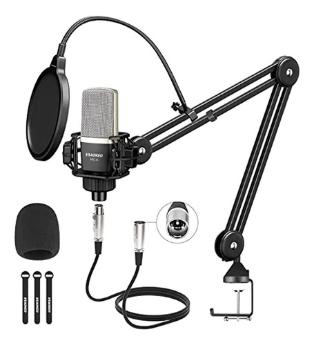 Micrófono De Condensador Xlr, Kit De Micrófono De Estudio Ca