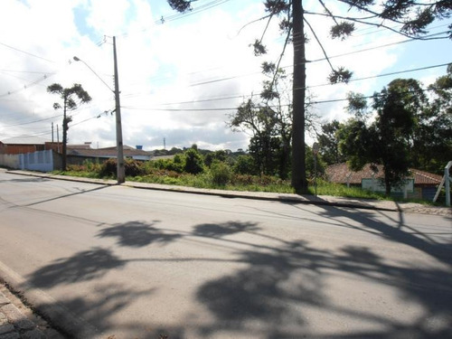 Imagem 3 de 15 de Terreno Para Venda Em Quatro Barras, Jardim Orestes Thá - Te-026_2-175650