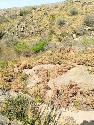 Terrenos Y Refugio De Piedra En Characato Con Escritura Impuestos Al Día Y Electricidad.