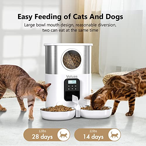 Dispensadores Automáticos De Comida Dos Gatos, Dispens...