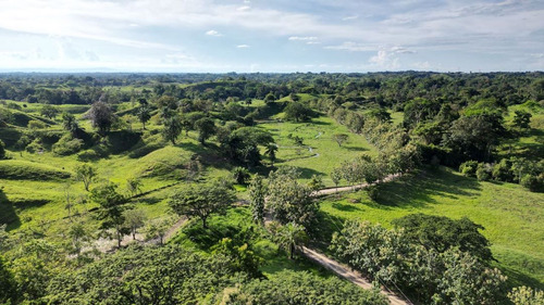 Finca Ganadera En Venta En El Magdalena Medio.