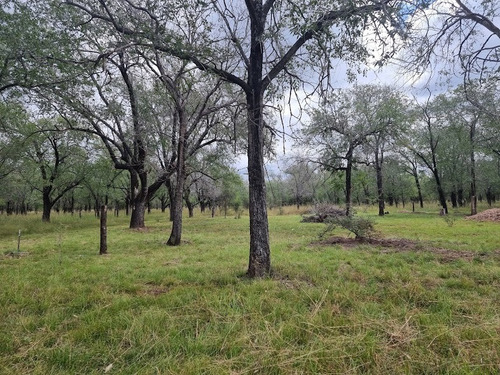 Imagen 4 de 10 de Lotes En Venta De 600m2 787m2 Con Posesión O Con Escritura