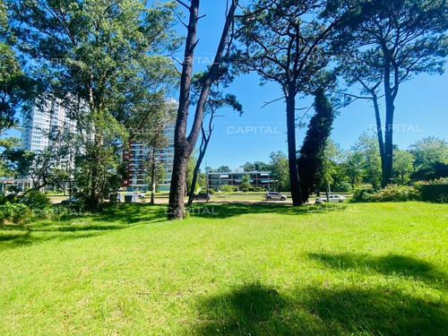 Imagen 2 de 6 de Lote En Venta Sobre Roosevelt - Punta Del Este Cantegril