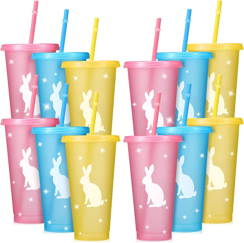 Vaso De Plástico Reutilizable Con Tapa Y Pajita 24 Oz