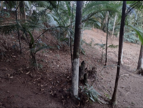 Chácara Em Juquitiba A 50 Min De Sp