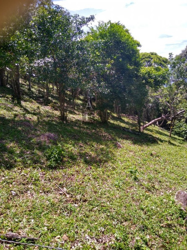 Área Residencial Para Venda Em Gamboa Garopaba-sc - Tv810