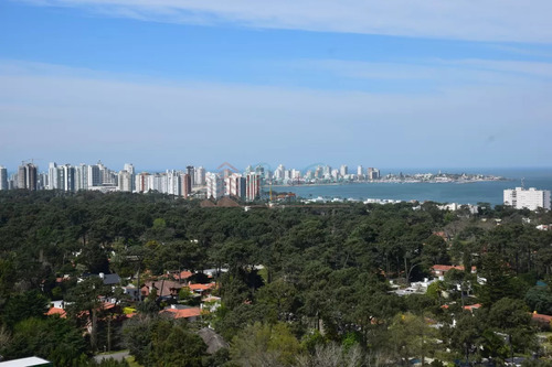 Hermosa Vista Hacia Playa Mansa , Edificio Con Servicios! 