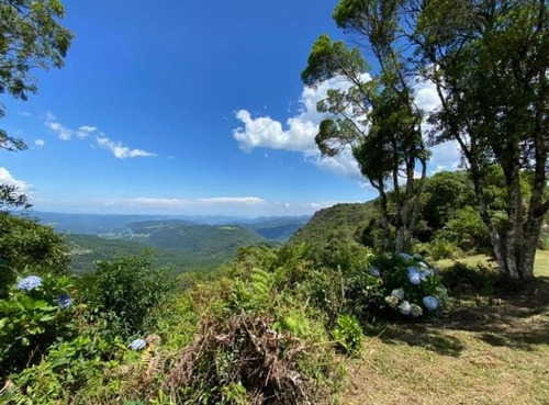 Imagem 3 de 6 de Lote / Terreno Em Alpes Verdes - Canela - 20587