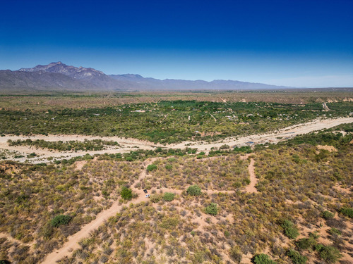 Lote 03 Mezquite