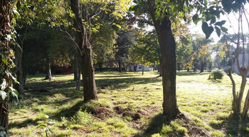 Venta Lotes En General Rodríguez La Mejor Zona De Quintas