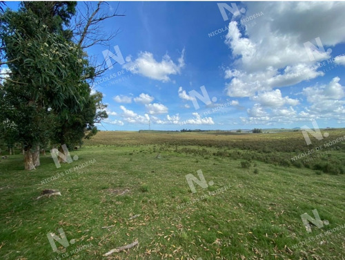 Imagen 11 de 15 de Venta Campo En Maldonado - Maldonado