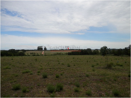 Imagen 7 de 8 de Venta De Chacra En Zona Rural De La Barra