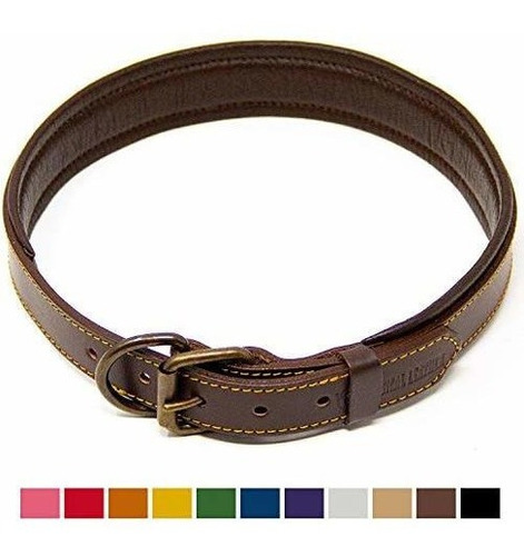 Collar De Perro Acolchado De Cuero