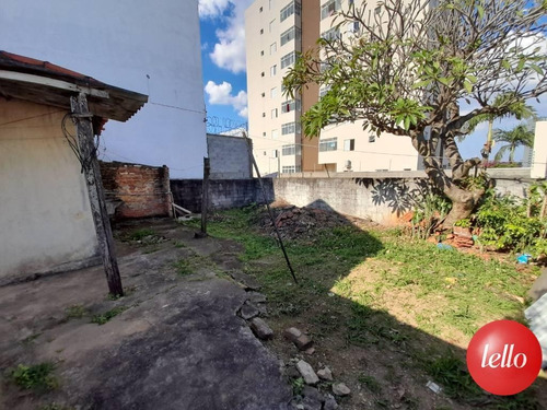 Imagem 4 de 12 de Terreno - Ref: 228265