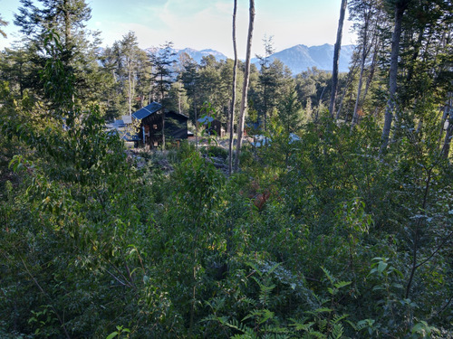 Lote Con Suave Pendiente Con Vista Al Lago Nahuel Huapi, Villa La Angostura