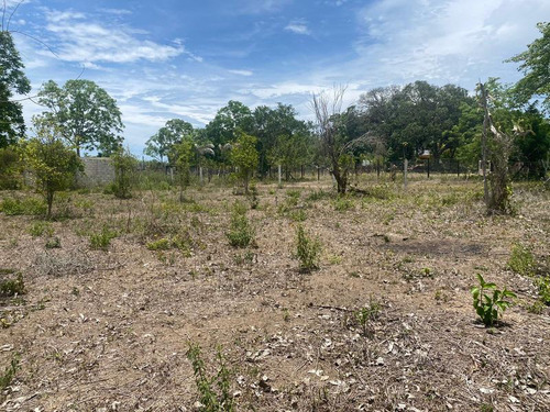 Venta Terreno 818.37 M² Col. Juana Moza Tuxpan Veracruz