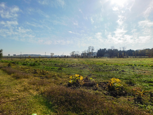 Imagen 10 de 14 de Lotes En Venta, 10.400 M2 Con Construcción Y Pileta. Tandil
