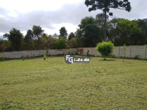 Chácara À Venda, 4450 M² Por R$ 449.500,00 - Rio Pequeno - São José Dos Pinhais/pr - Ch0023