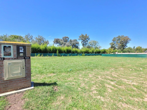 Venta Lote Solar De Alvarez