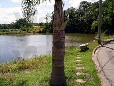 Imagem 3 de 3 de Chácara Para Venda - 23868