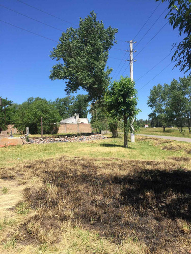 Imagen 6 de 15 de Venta De Terreno En Ruta 2 Km 52. Apto Comercial.