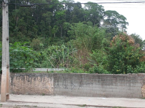 Imagem 7 de 15 de Terreno Em Jardim Luciana - Franco Da Rocha - 193