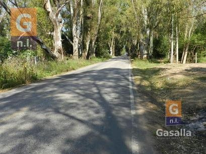 Imagen 7 de 10 de Terreno En Punta Del Este (el Tesoro) - Ref. 1467
