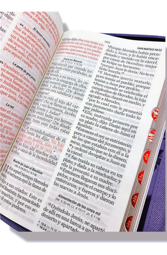 Imagen 5 de 9 de Biblia Rvr60 Letra Gigante 14pt Lila Mariposa Cierre Indices