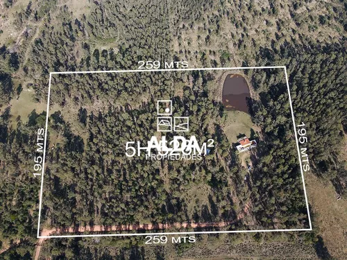 Chacra Camino Las Flores (ruta 73) Piriápolis Rural Venta Ch101270