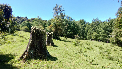 En Venta, Hermoso Campo Cercano A Lican Ray (94750)
