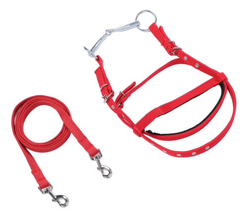 Cabezal Ecuestre Pequeño Y Ajustable Para Caballos, Rojo Y R