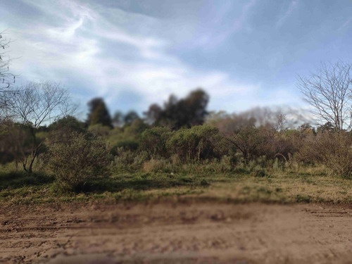 Imagen 12 de 12 de Venta Terreno 3.000 M2 En Pilar
