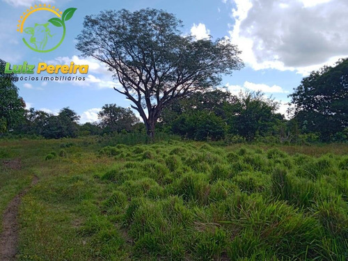 Imagem 3 de 4 de Fazenda À Venda Em Natividade - T0 - De 51 Alqueirões (pecuária) - 1768
