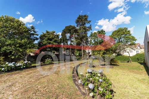 Imagem 12 de 30 de Terreno Em Barreirinha, Curitiba, Paraná - Te00033 - 33491718