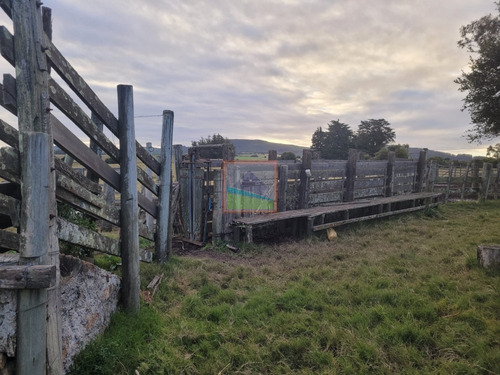 Imagen 6 de 26 de Campo De 34 Hás Con Casa Ruta 12 Pueblo Edén
