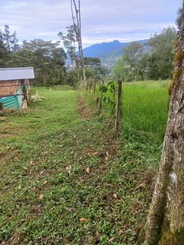 Venta De Lotes