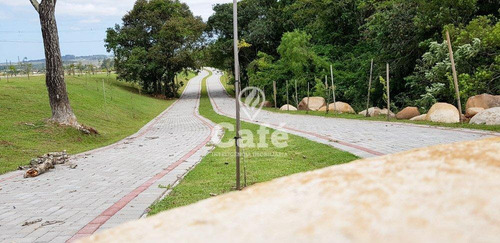 Imagem 29 de 30 de Terreno 13 X 25 Metros - Real Park - 2633