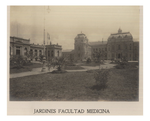 Facultad De Medicina Montevideo Año 1910 - Lámina 45x30 Cm.