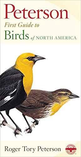 Primera Guía De Peterson Para Las Aves De América Del Norte