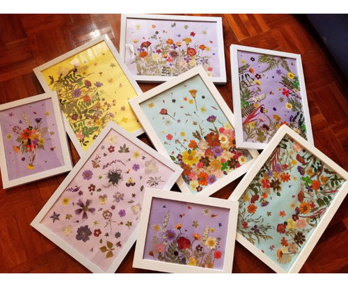 T 24 Piezas, Multicolor, Prensado, Secado, Real, Flor,