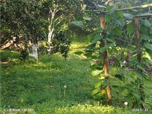 Vendo Finca La Vega Cundinamarca