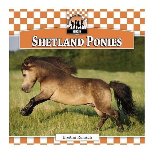 Shetland Ponies - Breann Rumsch (hardback)