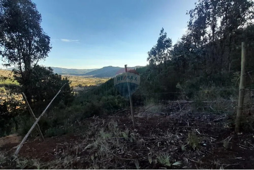 ¡oportunidad Única Para Inversión En Tanhuao!