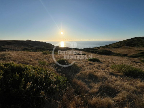 Sitios Venta, Entre Topocalma Y Pichilemu, 5.000 M2, Vista