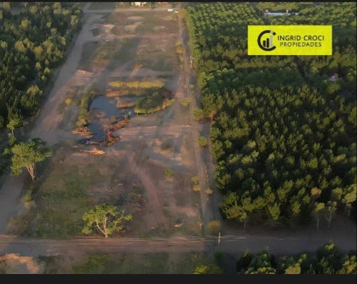 Imagen 3 de 15 de Venta 6 Hectáreas La Lucila Del Mar Loteo Campo Terreno