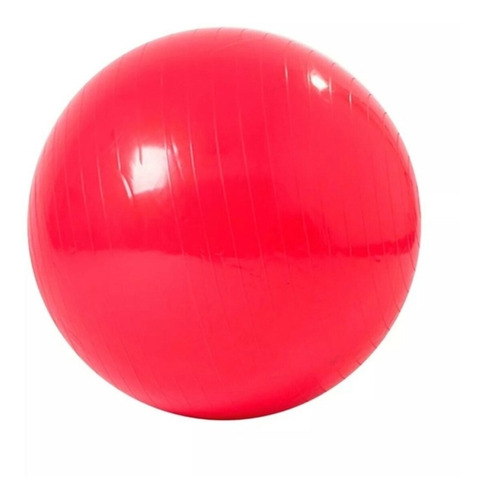 Pelota Balón Fisiológico 55 Cm Esferodinamia Fit Ball 