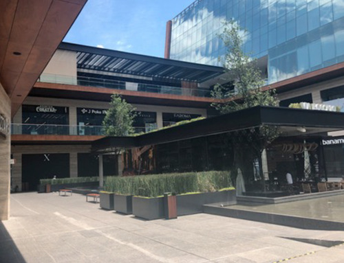 Local Comercial En Renta En Av. José Vasconcelos En San Pedro Garza García