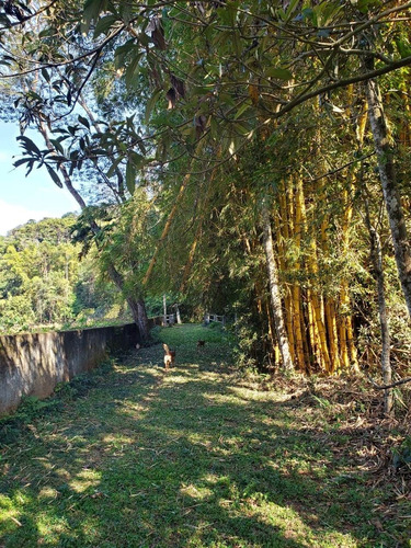 Chácar, Sítio, Venda E Compra, Campo Limpo Paulista, Moinho - Ch00073 - 69272493